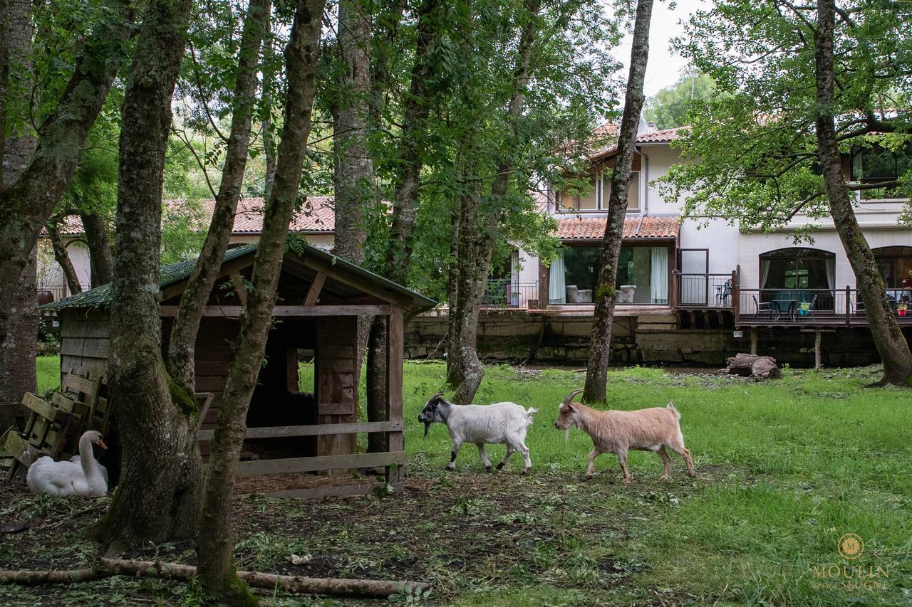 Moulin Du Val De Seugne Hotel Mosnac  Buitenkant foto